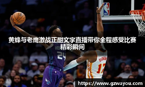 黄蜂与老鹰激战正酣文字直播带你全程感受比赛精彩瞬间